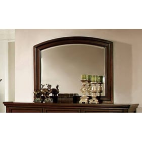 Furniture of America Northville Dark Cherry Mirror