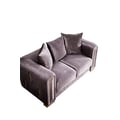 Impreza Thick Velvet Fabric Upholstered Loveseat Made With Wood in Gray