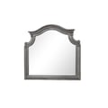 Grace Traditional Mirror Made With Wood in Gray