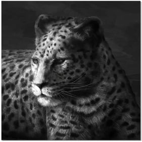 JM Furniture Black White Cheetah Wall Art