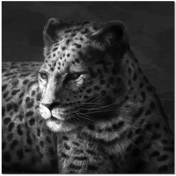 JM Furniture Black White Cheetah Wall Art JNM-18181