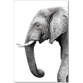 JM Furniture Black Grey Tusk Wall Art