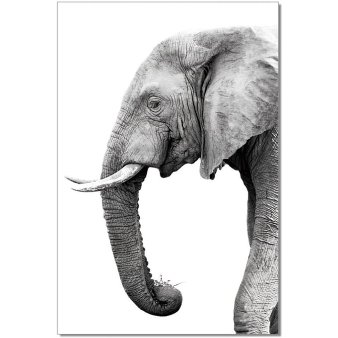 JM Furniture Black Grey Tusk Wall Art JNM-18170