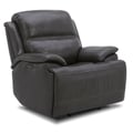 SG Recliner P2 - Graphite