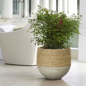 LH Home Patio Beige Light Grey Nature Mixed Grass and Concrete Pot