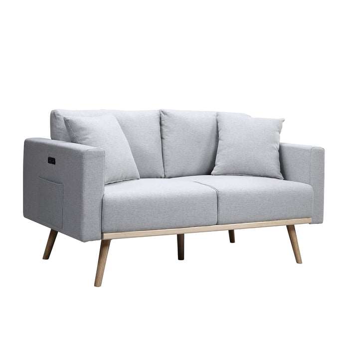 Lilola Home Easton Light Gray Loveseat LILO-81370LG-L