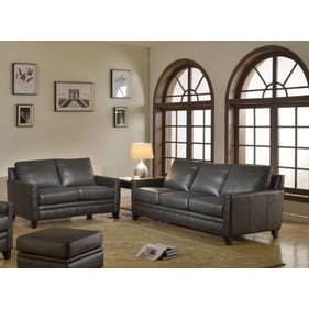 Leather Italia USA Cambria Fletcher Charcoal 2pc Living Room Set