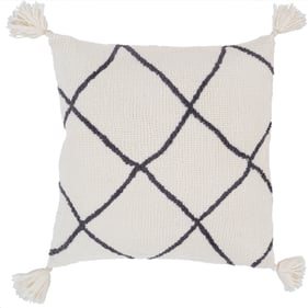 Livabliss Braith Cream Charcoal Accent Pillow Cover - 20x20