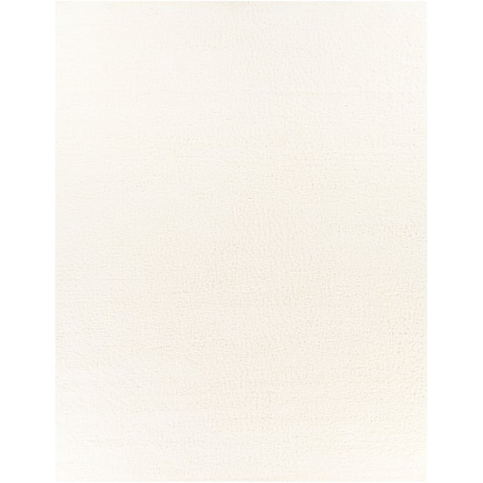 Livabliss Deluxe Shag White Machine Woven Rug - 122x94 DXS2300-710103