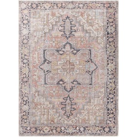 Livabliss Embrace EMA2306 Machine Woven Rug - 84X63