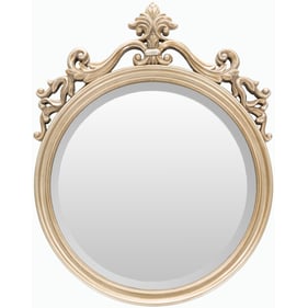 Livabliss England Champagne Mirror