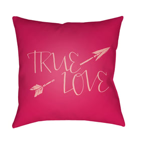 Livabliss True Love Blush Garnet Light Pink Accent Pillow Cover - 20x20