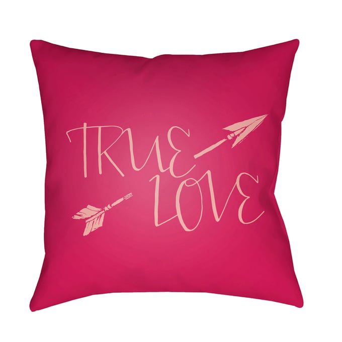 Livabliss True Love Blush Garnet Light Pink Accent Pillow Cover - 20x20 HEART022-2020