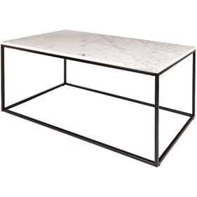 Livabliss Aryaa White Black Coffee Table