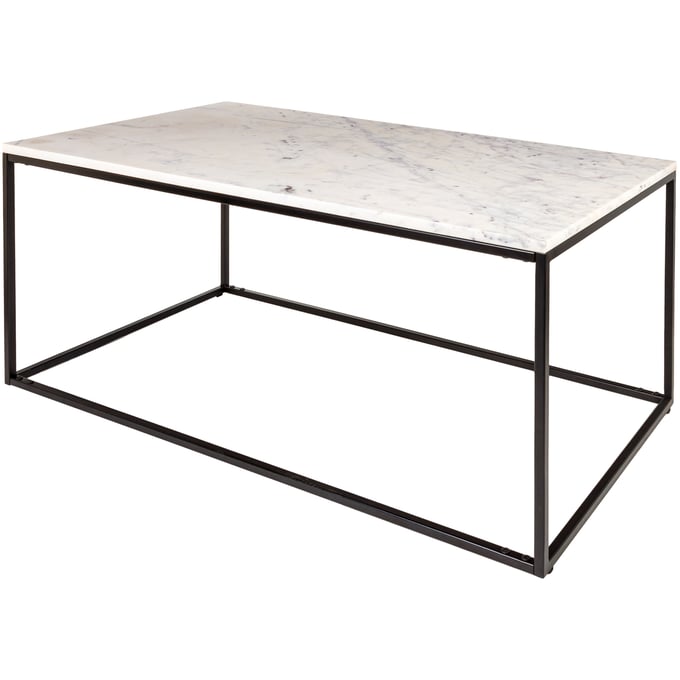 Livabliss Aryaa White Black Coffee Table YAA-001