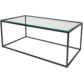 Livabliss Aryaa Clear Black Coffee Table