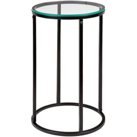 Livabliss Aryaa Clear Black Round End Table