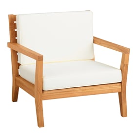 Linon Carenen Natural Antique White Outdoor Arm Chair with Cushions