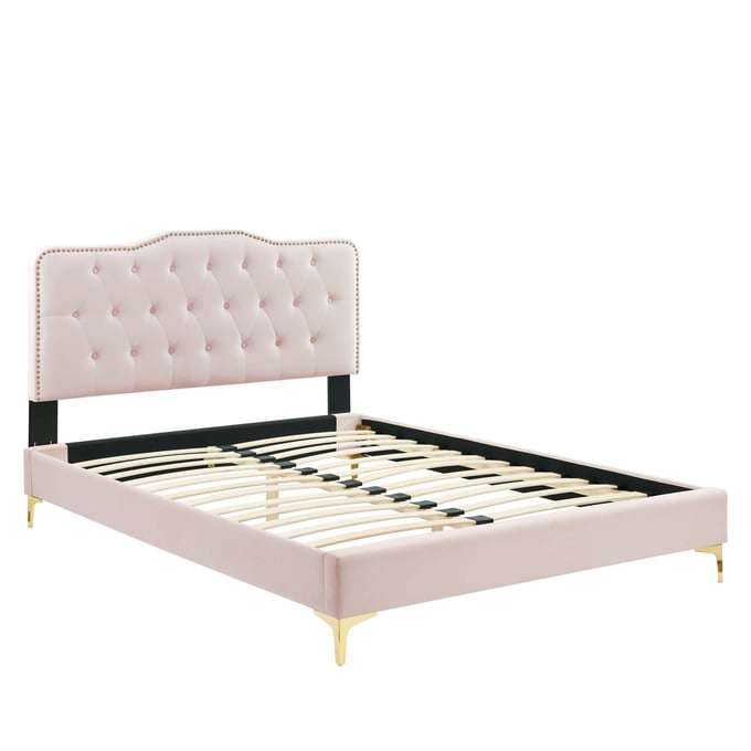 Modway Furniture Amber Pink Velvet Queen Platform Bed MOD-6775-PNK