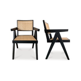 2 Moes Home Takashi Black Solid Elm Rattan Chairs