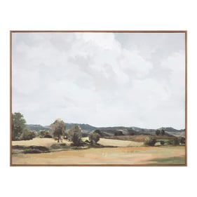 Moes Home Vast Country Framed Painting Wall Art