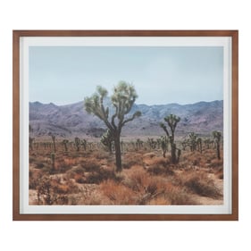 Moes Home Desert Land Framed Print Wall Art