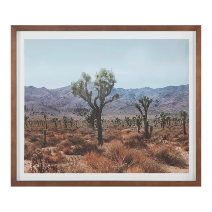 Moes Home Desert Land Framed Print Wall Art MOE-WP-1280-37