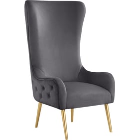 Meridian Furniture Alexander Grey Velvet Accent Chair