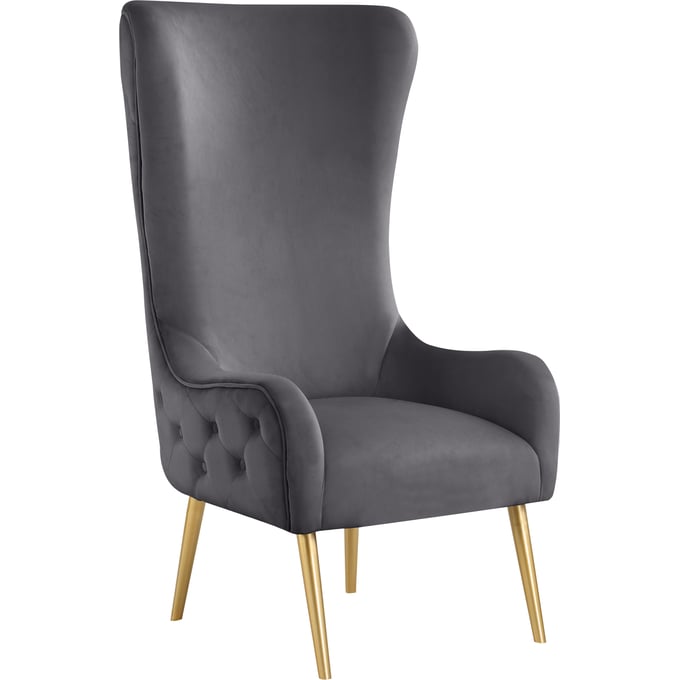 Meridian Furniture Alexander Grey Velvet Accent Chair MRD-536GREY