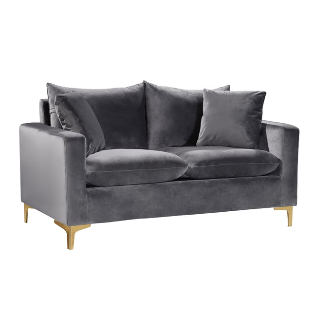 Meridian Furniture Naomi Grey Velvet Loveseat MRD-633GREY-L