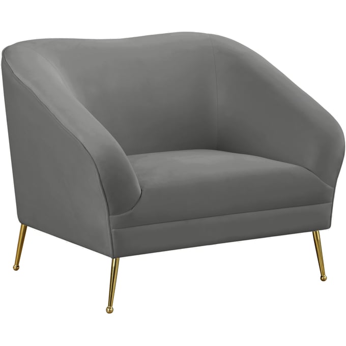 Meridian Furniture Hermosa Grey Velvet Chair MRD-658GREY-C