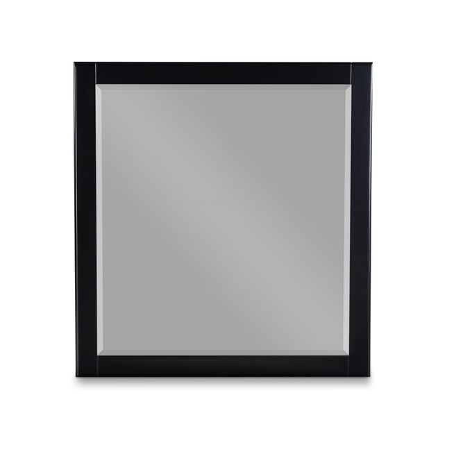 Meridian Furniture Zayne Black Mirror MRD-842BLACK-M