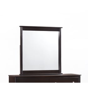 Night and Day Furniture Secrets Chocolate Mirror