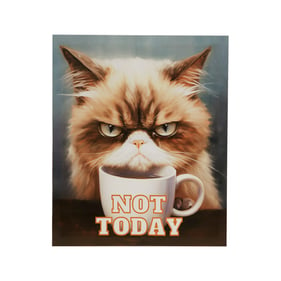 Olliix Madison Park Grumpy Cats Not Today Canvas Wall Art