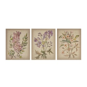 Olliix Madison Park Linen Botanicals Illustration 3pc Canvas Wall Art Set