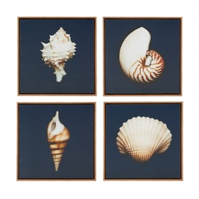 Olliix Madison Park Ocean Seashells Blue 4pc Framed Canvas Wall Art Set