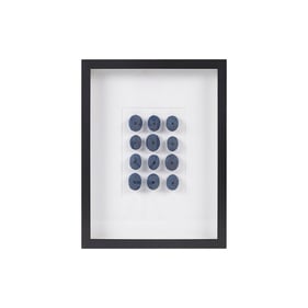 Olliix Martha Stewart Indigo Shells Blue Framed Sea Urchin Shadow Box Wall ...