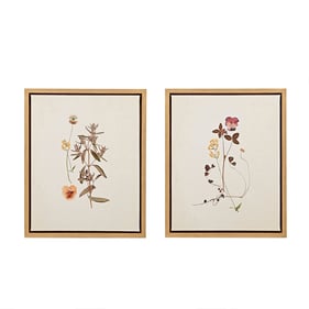 Olliix Martha Stewart French Herbarium 2pc Framed Canvas Wall Art Set