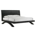 Picket House Furnishings Kenn King Bed in Black