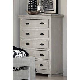 Progressive Furniture Willow Gray Chalk Chest