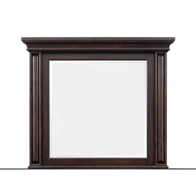 TOV Furniture Stamford Brown Mirror