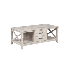 Saint Birch Honduras Gray Coffee Table with 2 Drawers