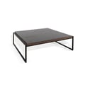 Purity Craft Omen Metal Sled Base Coffee Table