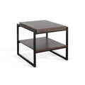 Purity Craft Omen Metal Sled Base End Table