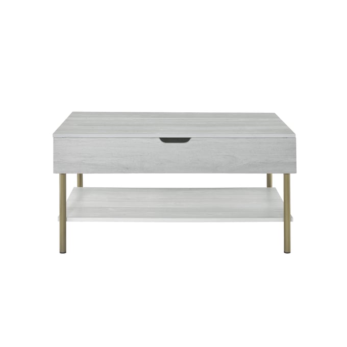 Steve Silver Whitman Weathered White Lift Top Cocktail Table SSF-WH200CL