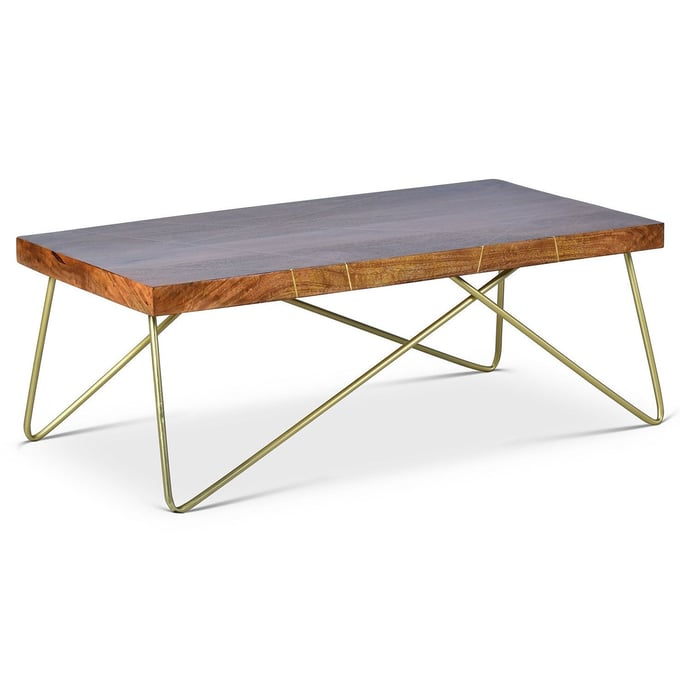 Steve Silver Walter Mango Wood Brass Inlay Cocktail Table SSF-WT300C