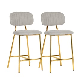 2 TOV Furniture Ariana Grey Counter Height Stools