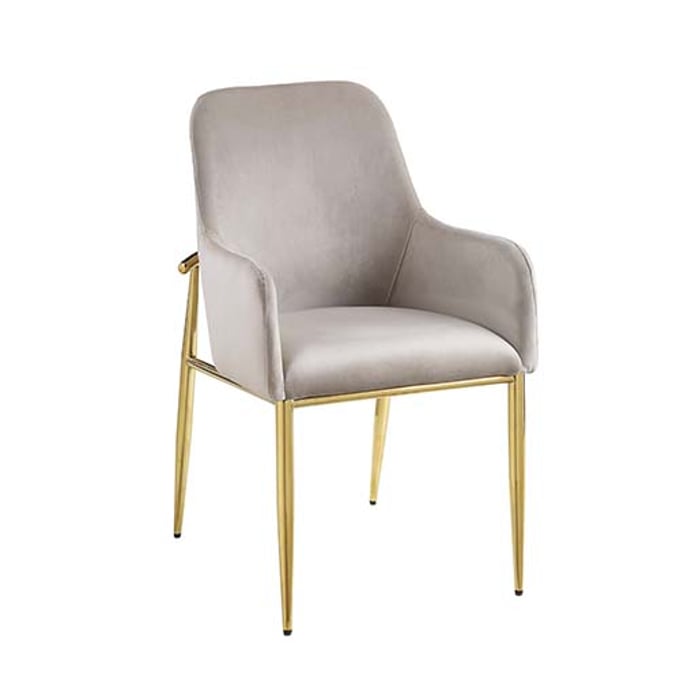 2 Acme Furniture Barnard Gray Mirrored Gold Side Chairs ACM-DN00220