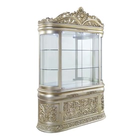 Acme Furniture Sorina Antique Gold Curio