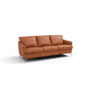 Acme Furniture Safi Cappuccino Sofa